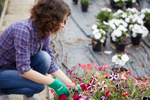 Professional garden clearance team working in Hounslow