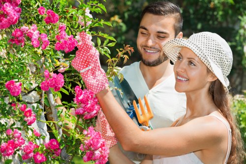 Eco-friendly lawn care practices in Hounslow