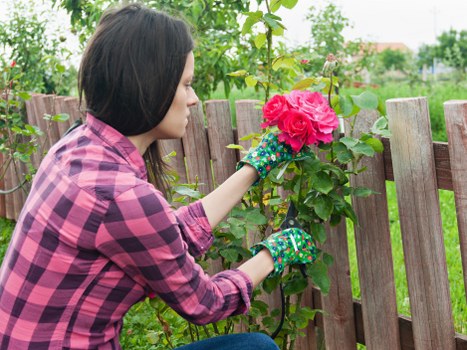 Professional landscape gardener working in a Hounslow garden