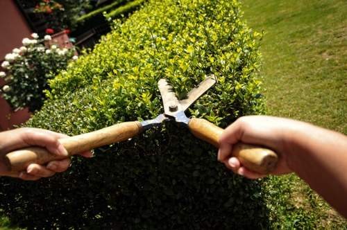 Eco-friendly lawn care practices by Hounslow experts