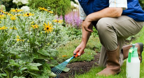 Stunning landscape design by Lawn Mowing Hounslow