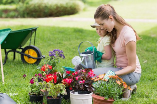 Different types of hedges in Hounslow requiring expert maintenance