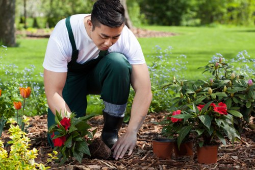 Maintaining a lush garden in Hounslow