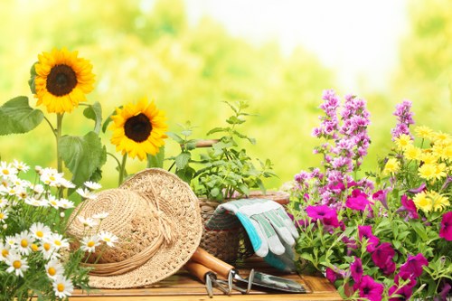 Scheduling lawn mowing services in Hounslow