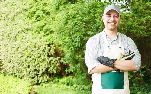 Lawn care tools and techniques for a lush green lawn