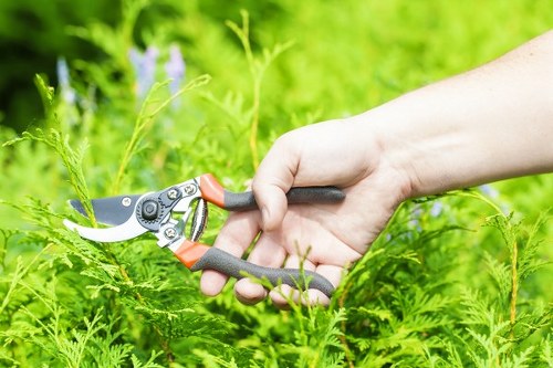 Eco-friendly garden clearance practices in Hounslow