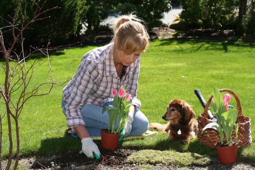 Seasonal gardening activities in Hounslow's garden