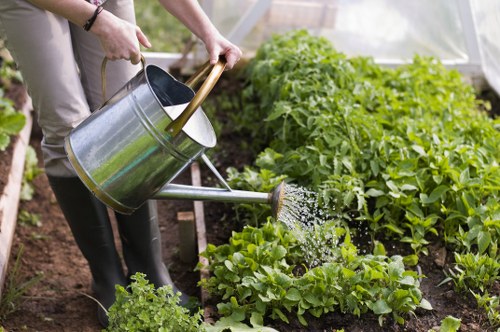 Professional garden maintenance services in Hounslow