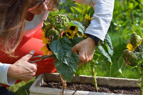 Gardener discussing an on-site quote with a homeowner in a Hounslow garden