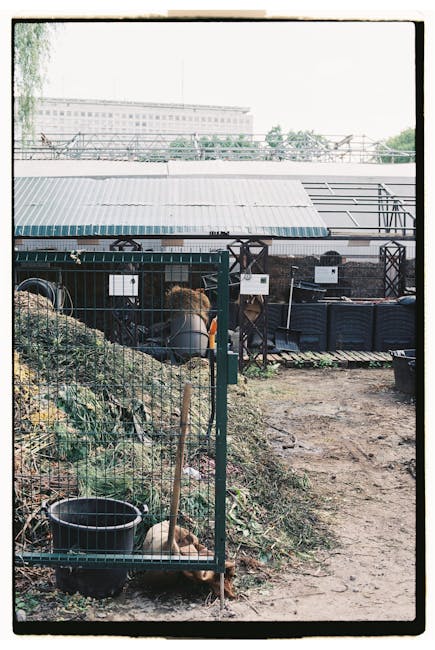 A green outdoor waste bin with a semi-transparent lid containing plastic and paper waste, positioned on a grassy area with a pathway in the background. The platform of the bin features a black symbol 